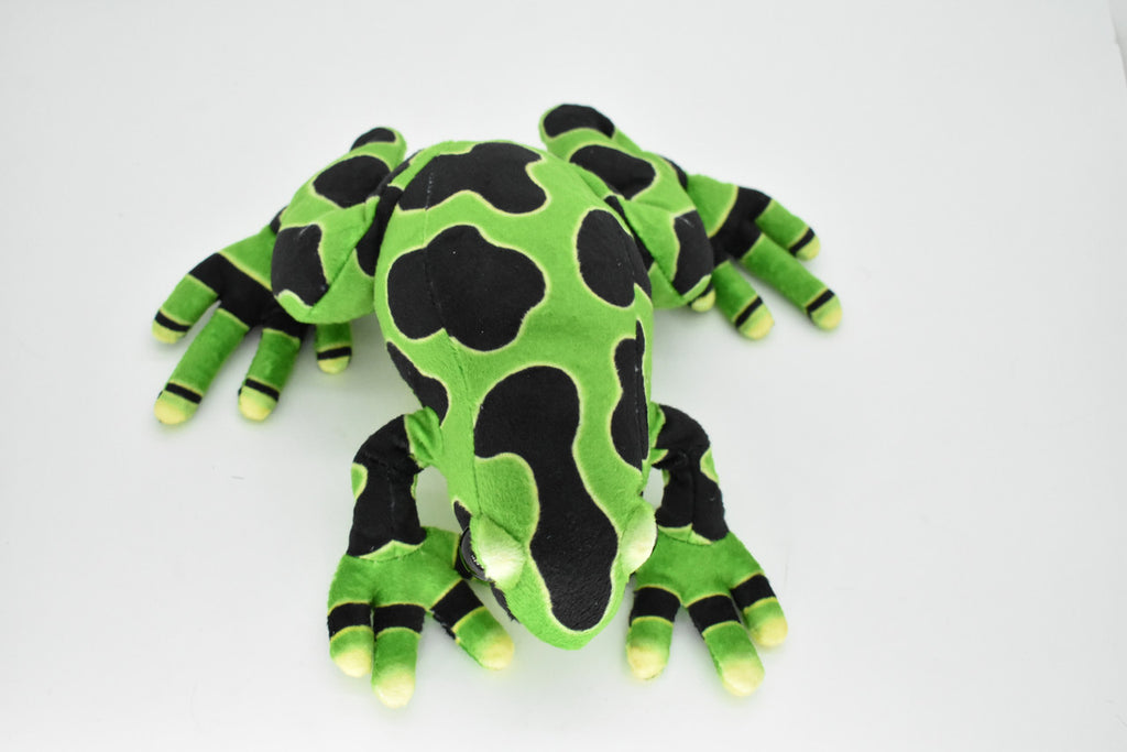 Frog, Green, Poison Dart Realistic Cute Stuffed Animal Plush Toy Kids Educational Gift    9"      RI09 B256