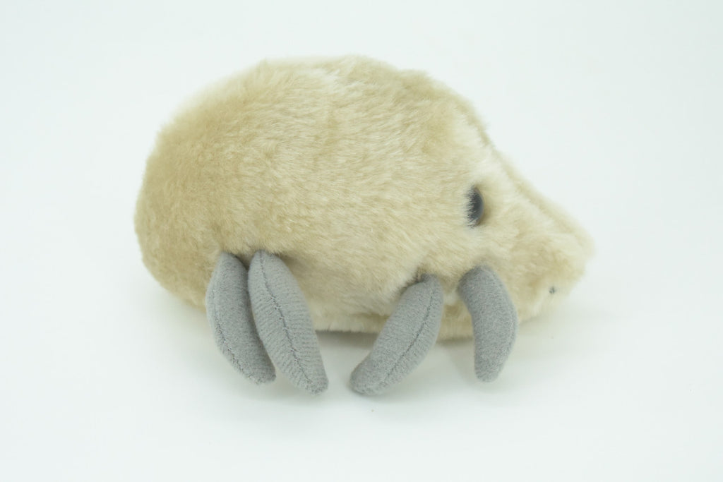 Dust Mite, Dermatophagoides, are microscopic Arachnids, Plush Design, Educational, Figure, Replica, Gift,    5"   F1561 B137