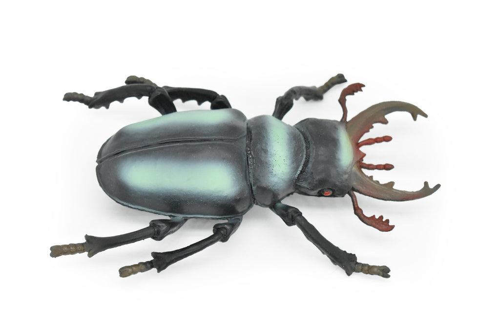 Stag Beetle, Lucanidae, Rubber Insect, Toy, Kids, Gift, Realistic Figure, Educational,  Model, Replica, Gift