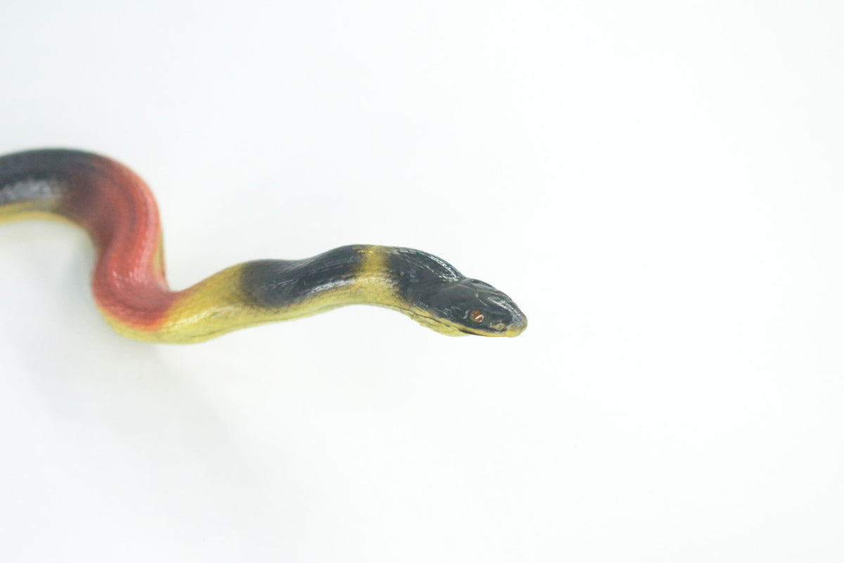 Coral snake, High Quality, Hand Painted, Hard Rubber, Realistic Reptile, Toy Figure, Diorama Model, Replica, Kids, Educational, Gift,    10 Inches    IM17 B654