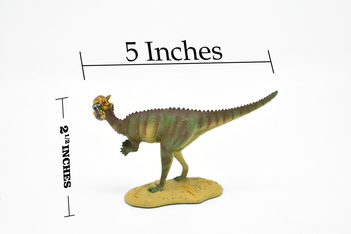 Pachycephalosaurus Dinosaur, Museum Quality, Animal, Educational, Realistic Hand Painted, Diorama Figure, Lifelike Model, Vintage Replica, Toy, 5 Inches. 