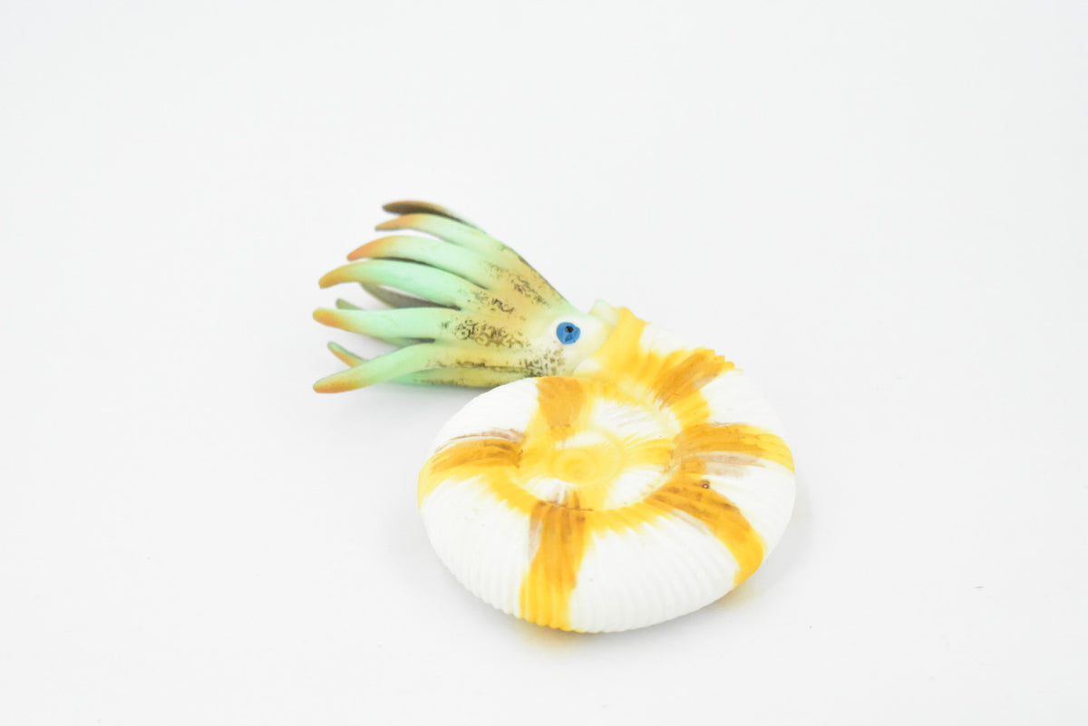 Ammonite, Prehistoric Marine Animal, Ocean Fossil Museum Quality, Rubber, Hand Painted, Realistic Toy Figure, Diorama Model, Kids, Educational, Gift,    4 1/2 Inches.     CH333 BB133