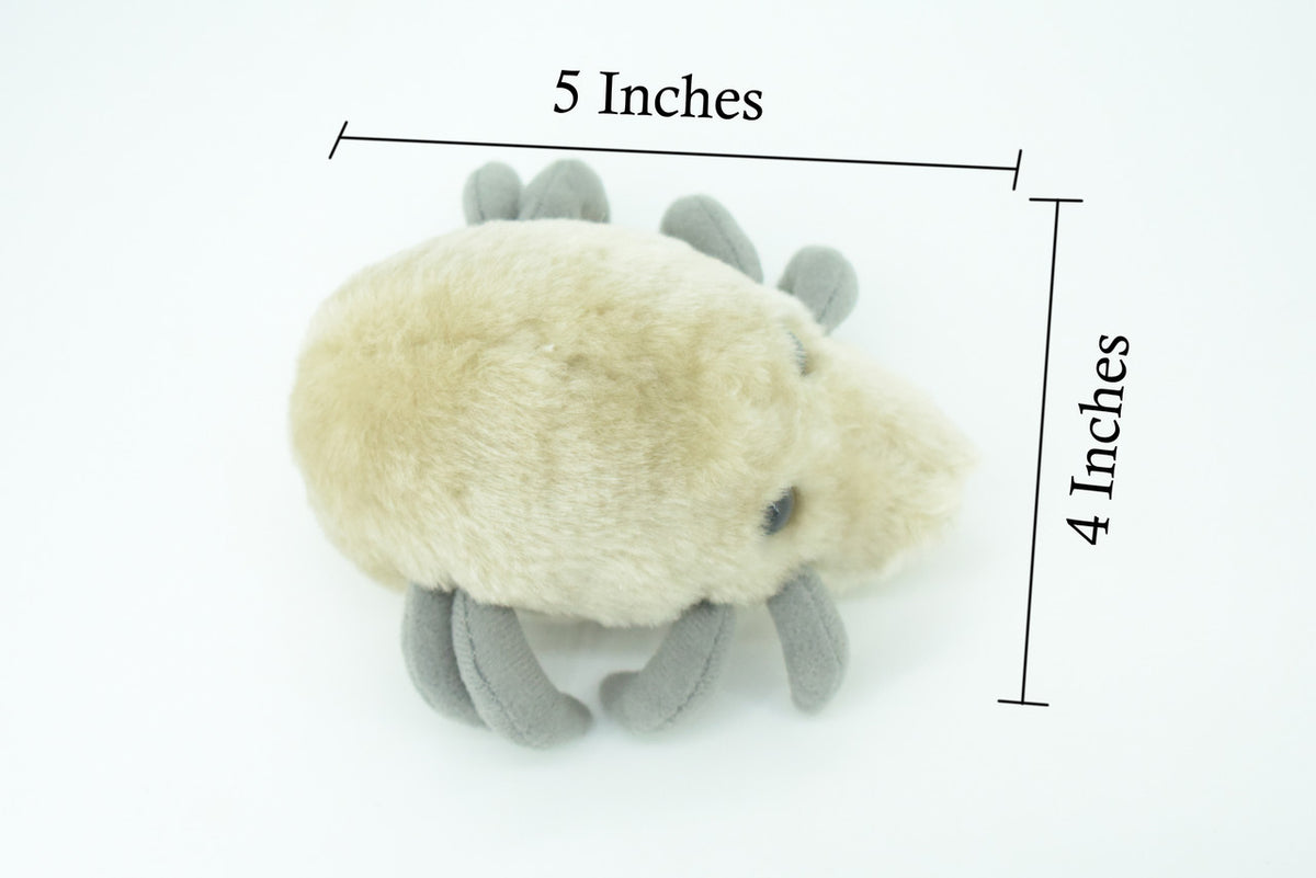Dust Mite, Dermatophagoides, are microscopic Arachnids, Plush Design, Educational, Figure, Replica, Gift,    5"   F1561 B137