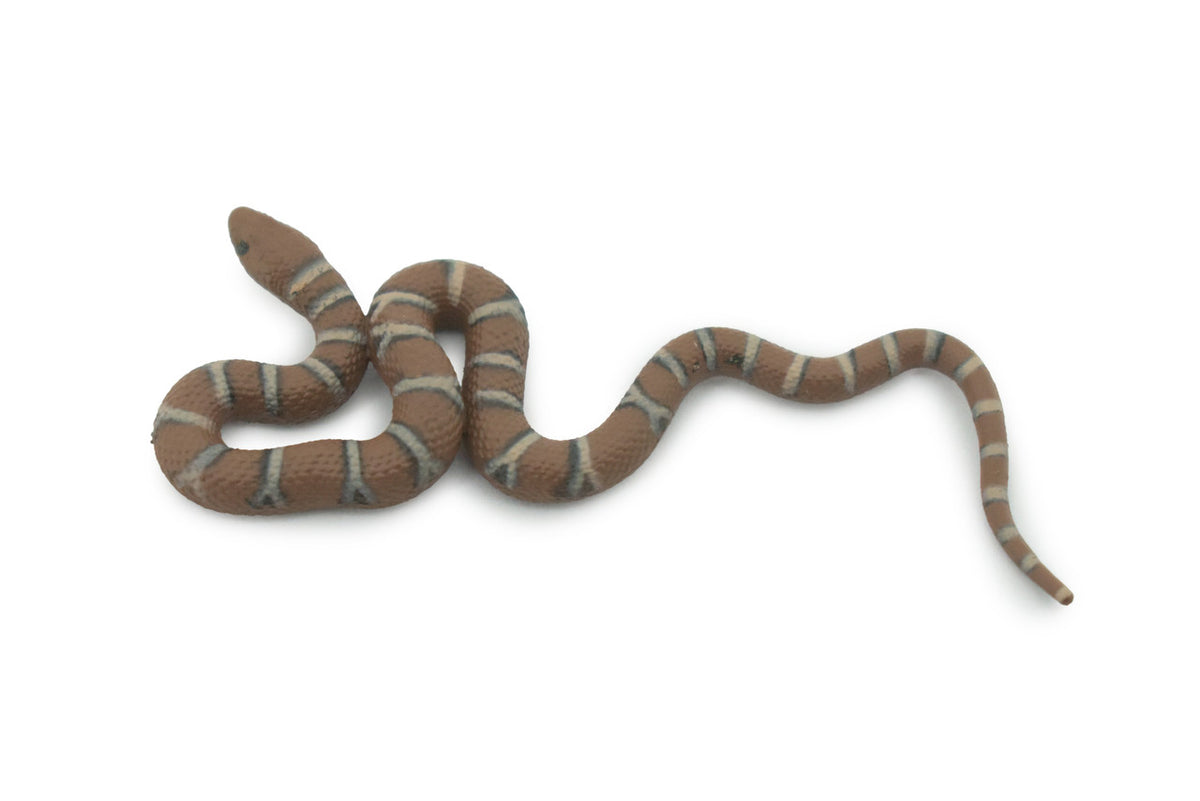 Water Snake, Hand Painted, Educational, Rubber Snake, Realistic Figure, Lifelike Model, Figurine, Replica, Gift,      2 1/2"    SF19 B31