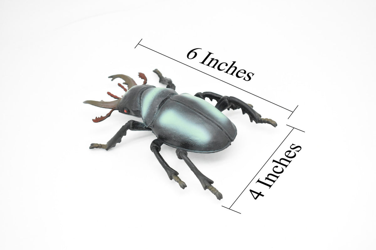Stag Beetle, Lucanidae, Rubber Insect, Toy, Kids, Gift, Realistic Figure, Educational,  Model, Replica, Gift