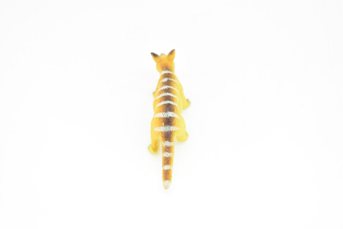Numbat, Walpurti, Australian marsupial, Hand Painted, Very Nice Plastic Design, Animal Figure, Educational, Lifelike, Diorama Model, Toy, Kids, Gift,  3 Inches.   CWG116 B237