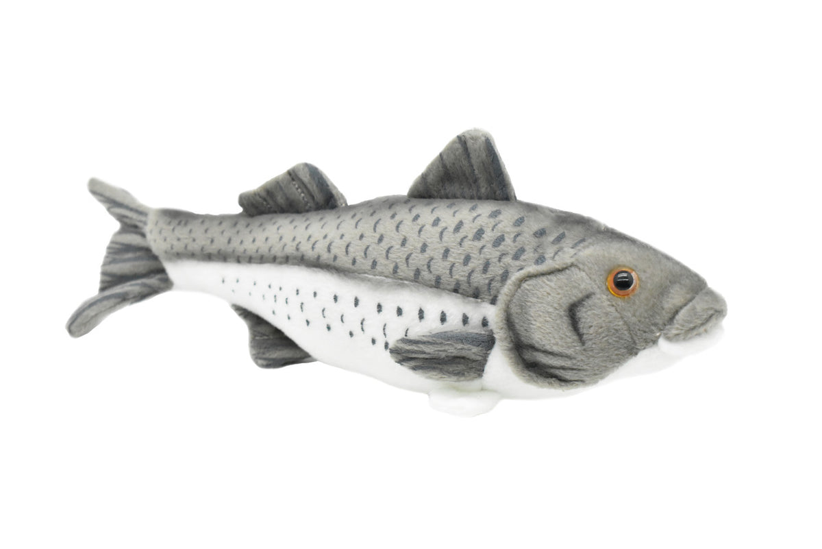 Striped Bass, Striper, Line Sider, Linesider, Very Nice Plush Fish, Stuffed Animal, Educational, Toy, Kids, Realistic, Lifelike Figure, Gift       10"