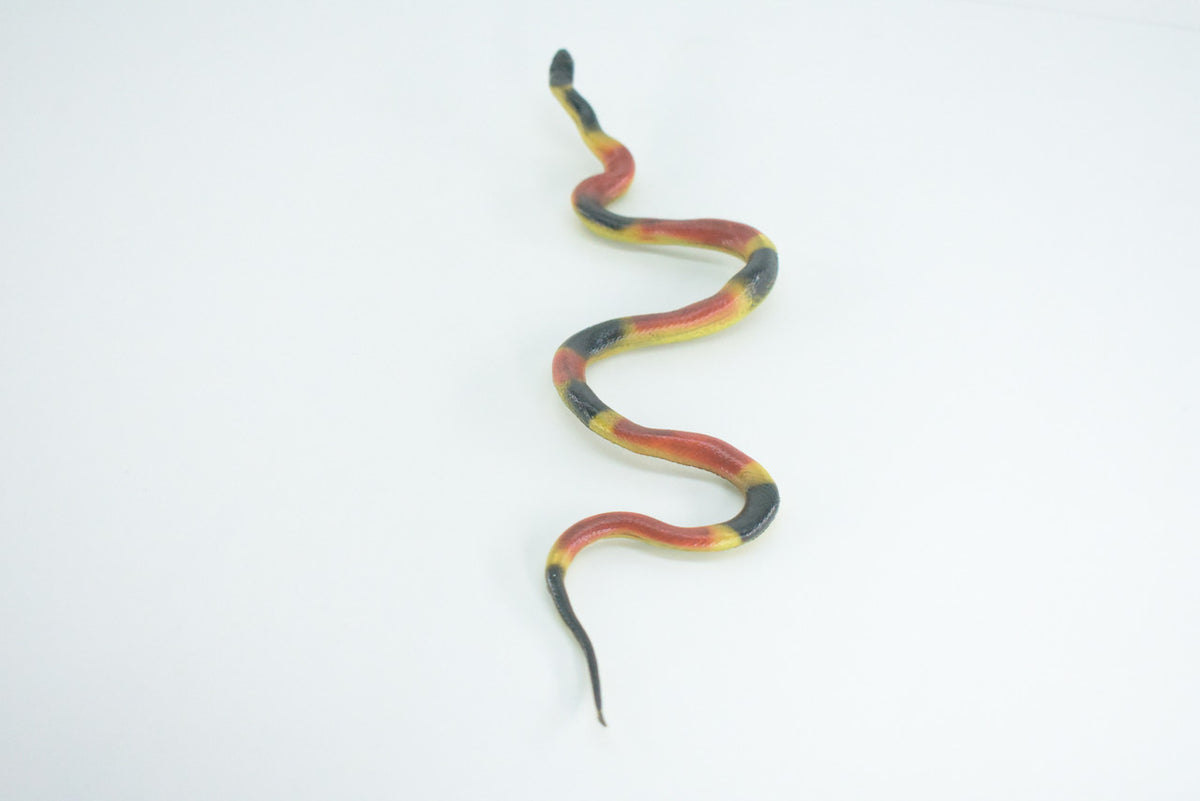 Coral snake, High Quality, Hand Painted, Hard Rubber, Realistic Reptile, Toy Figure, Diorama Model, Replica, Kids, Educational, Gift,    10 Inches    IM17 B654