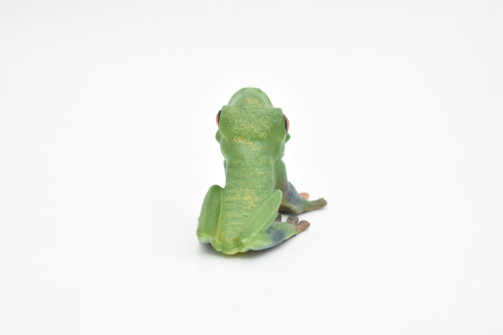 Frog Toy, Red Eyed Tree Frog, Very Realistic Rubber Figure, Model, Educational, Animal, Hand Painted Figurines,   2"    CH063 BB79