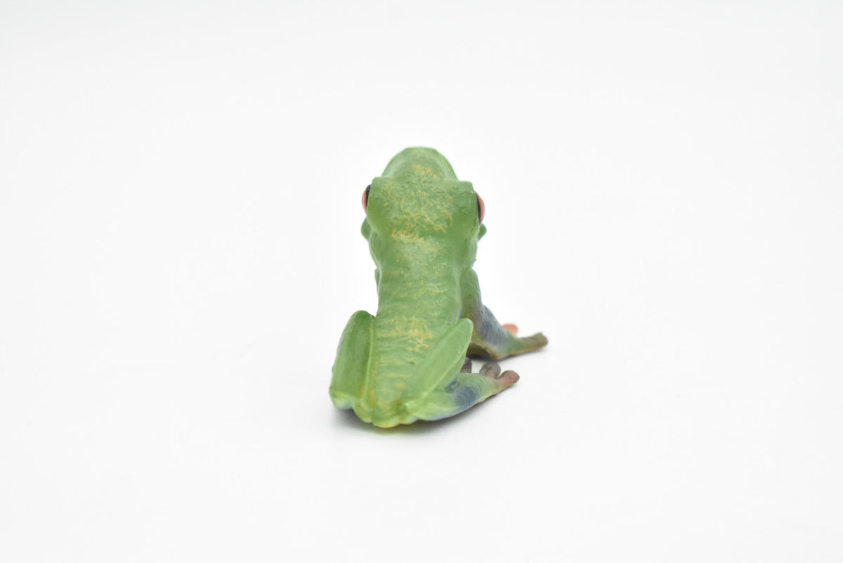 Frog Toy, Red Eyed Tree Frog, Very Realistic Rubber Figure, Model, Educational, Animal, Hand Painted Figurines,   2"    CH063 BB79