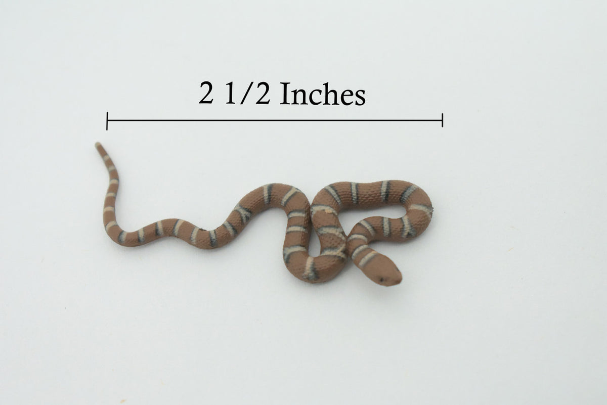 Water Snake, Hand Painted, Educational, Rubber Snake, Realistic Figure, Lifelike Model, Figurine, Replica, Gift,      2 1/2"    SF19 B31