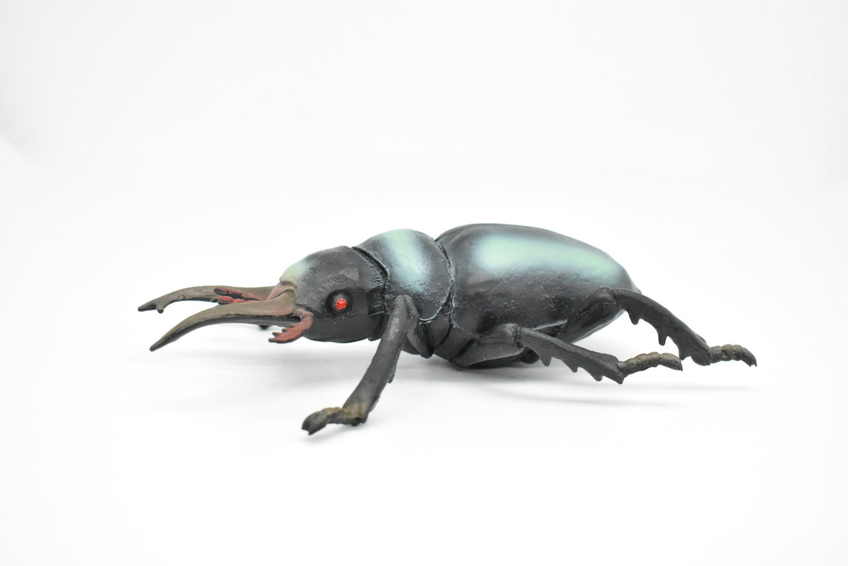 Stag Beetle, Lucanidae, Very Nice Rubber Insect, Educational, Toy, Kids, Realistic Figure, Lifelike Model, Figurine, Replica, Gift,       6"        F2088 B493