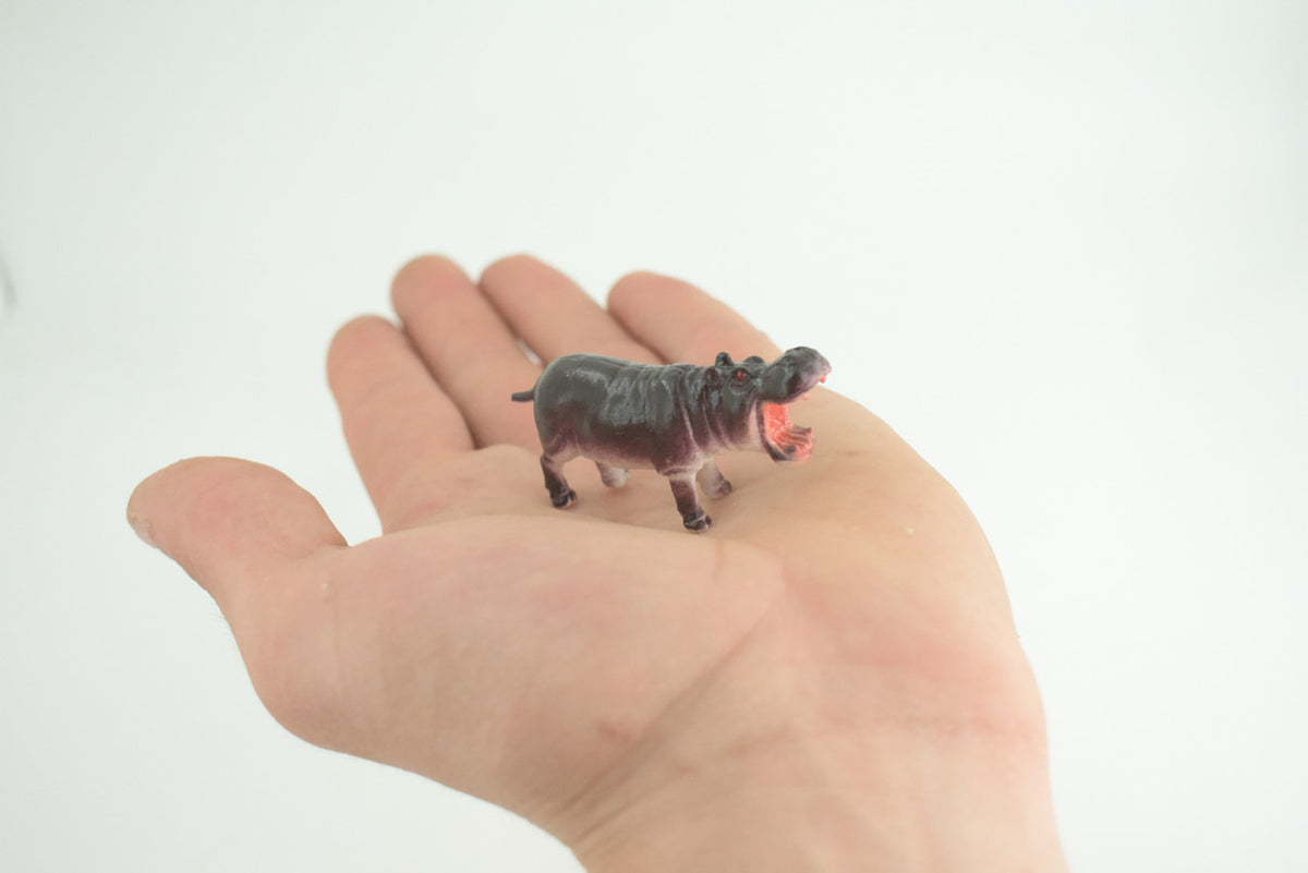 Hippo, Hippopotamus, Hand Painted, Plastic Toy Animal, Kids Gift, Realistic Figure, Educational Model, Replica,       2 1/2 Inches. 