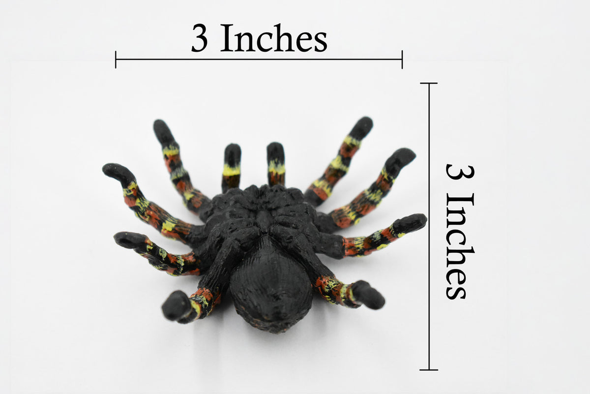 Goliath Bird Eating Spider, Tarantula family, Museum Quality, Educational, Hand Painted, Rubber Insect, Diorama Model, Realistic, Kids, Toys, 3 Inches.