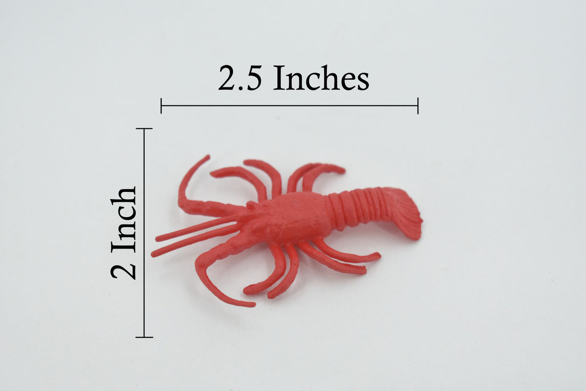 Lobster, California spiny lobster, Realistic Rubber Crustacean Design,  Educational, Figure, Lifelike, Model, Replica, Gift    2 1/2"     F0036 B123