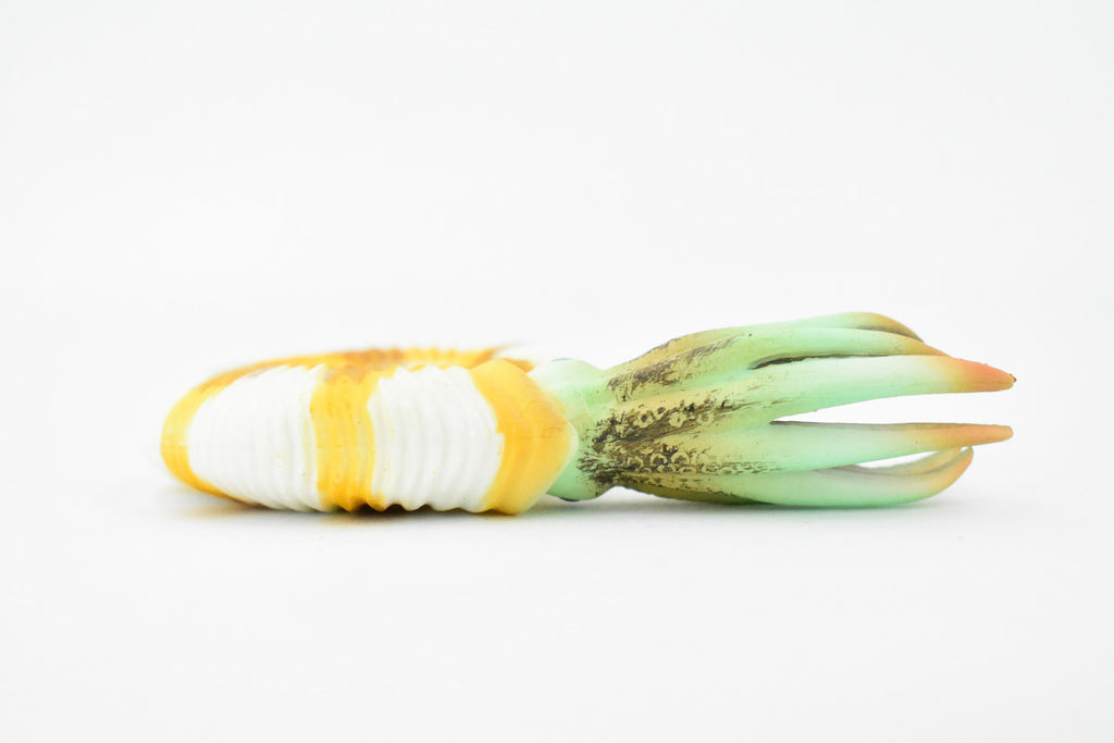 Ammonite, Prehistoric Marine Animal, Ocean Fossil Museum Quality, Rubber, Hand Painted, Realistic Toy Figure, Diorama Model, Kids, Educational, Gift,    4 1/2 Inches.     CH333 BB133