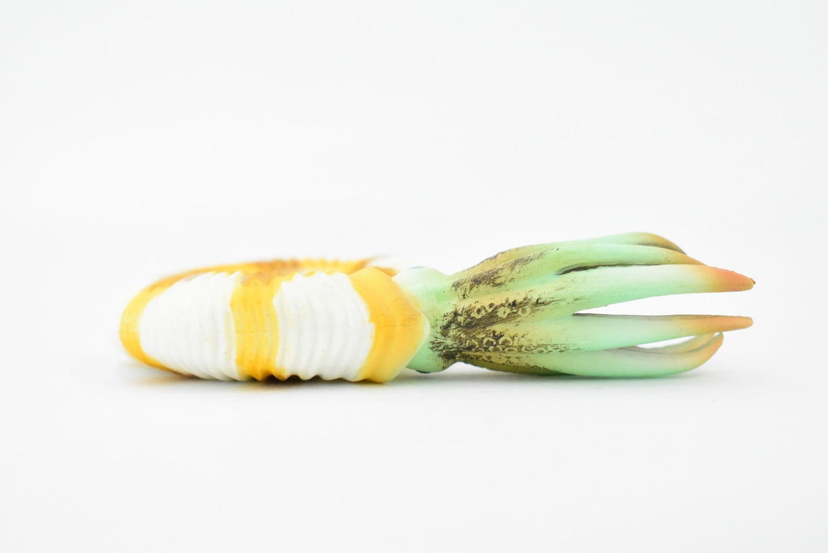 Ammonite, Prehistoric Marine Animal, Ocean Fossil Museum Quality, Rubber, Hand Painted, Realistic Toy Figure, Diorama Model, Kids, Educational, Gift,    4 1/2 Inches.     CH333 BB133