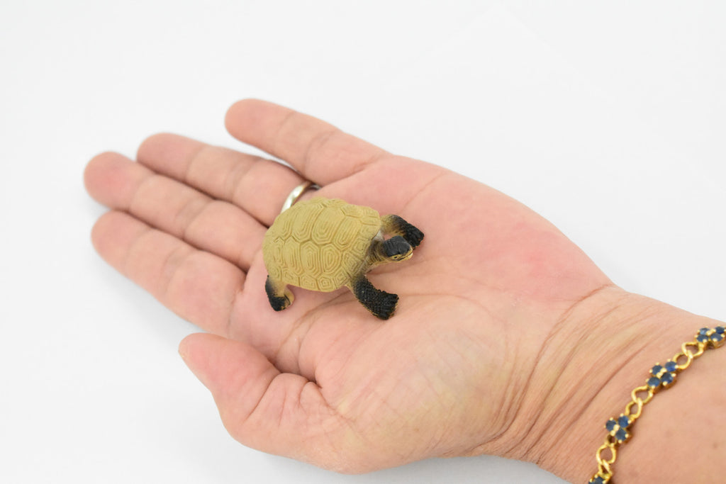 Tortoise, Galápagos tortoise, Turtle, Plastic Reptile, Educational, Realistic, Hand Painted, Figure, Lifelike Model, Figurine, Replica, Gift,     2"    F4441 B55