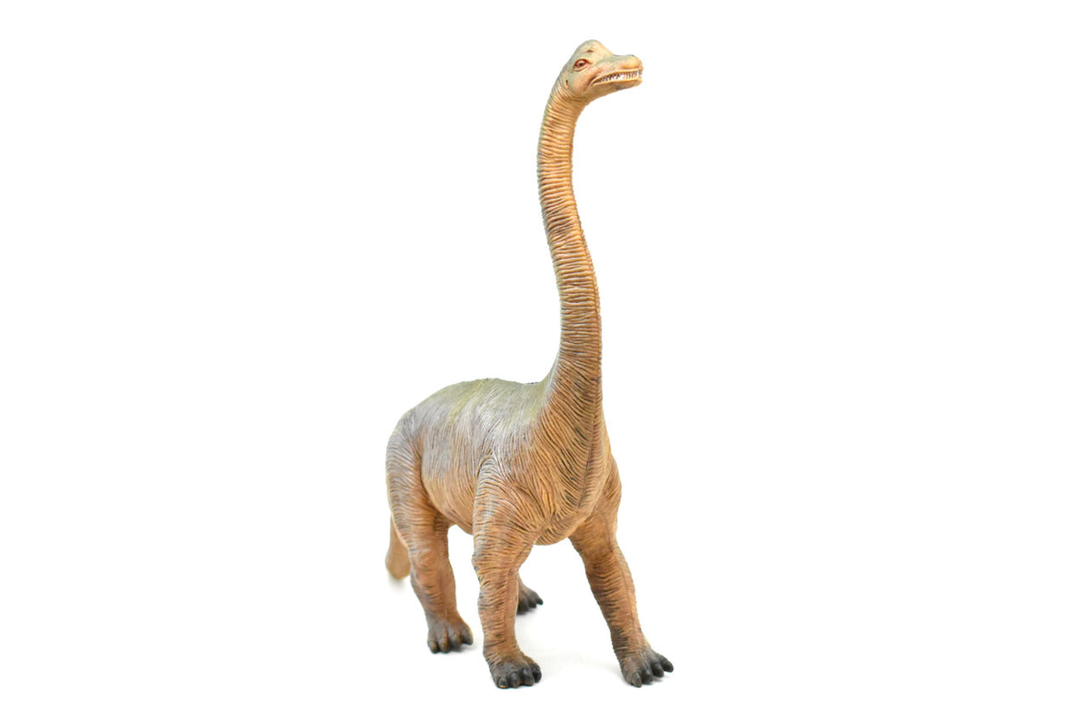 Brachiosaurus, Dinosaur, Jurassic period, Museum Quality, Realistic, Educational, Hand Painted, Lifelike Design, Diorama Model, Replica, Toy, Gift     14 Inches        CWG161 BB37