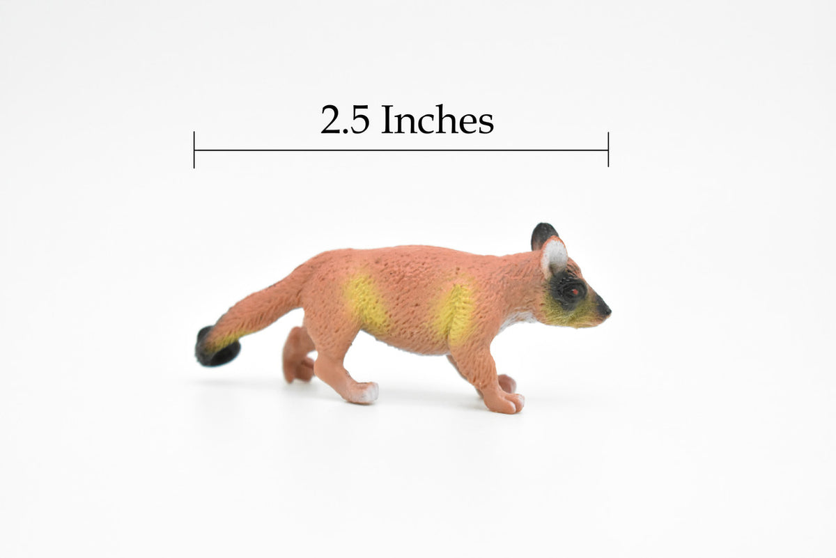 Brazilian aardvark, Coatimundi, Coati, Very Nice Plastic Design, Animal Figure, Educational, Figure, Lifelike, Diorama Model, Replica, Toy, Kids, 2 1/2 Inches. 