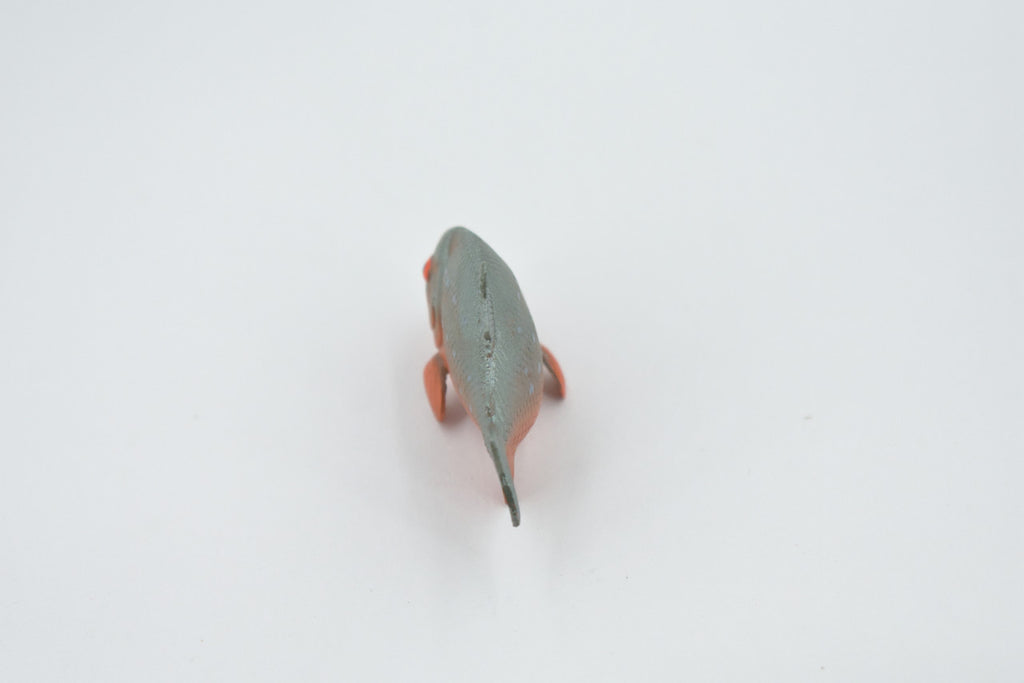 Fish, Red Bellied Pranha,  Museum Quality, Hand Painted, Realistic, Rubber Fish, Figure, Model, Replica, Toy, Kids, Educational, Gift,      2 3/4"   CH505 BB156