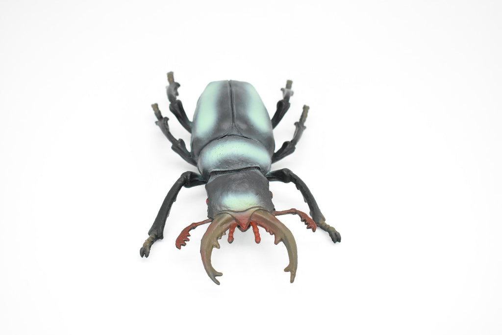 Stag Beetle, Lucanidae, Very Nice Rubber Insect, Educational, Toy, Kids, Realistic Figure, Lifelike Model, Figurine, Replica, Gift,       6"        F2088 B493