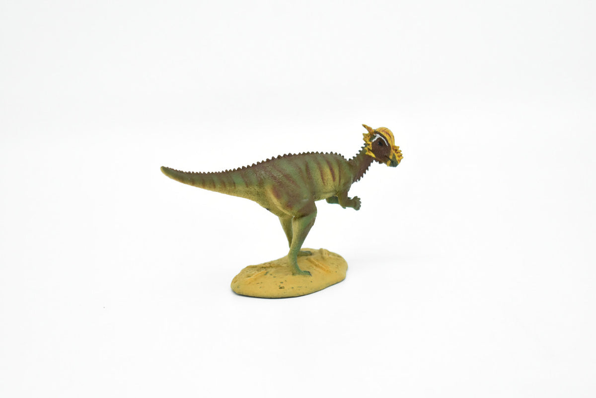 Pachycephalosaurus Dinosaur, Museum Quality, Animal, Educational, Realistic Hand Painted, Diorama Figure, Lifelike Model, Vintage Replica, Toy, Gift,    5 Inches.     F3612 B228