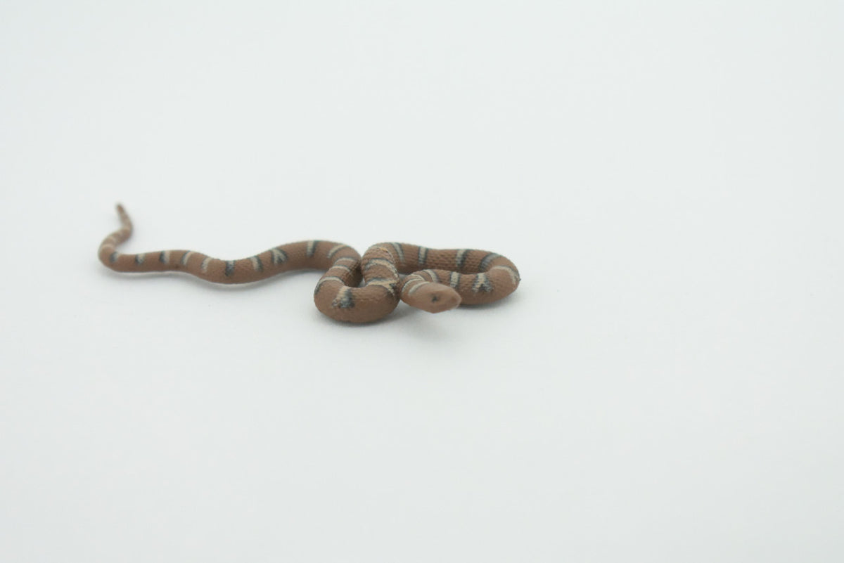 Water Snake, Hand Painted, Educational, Rubber Snake, Realistic Figure, Lifelike Model, Figurine, Replica, Gift,      2 1/2"    SF19 B31