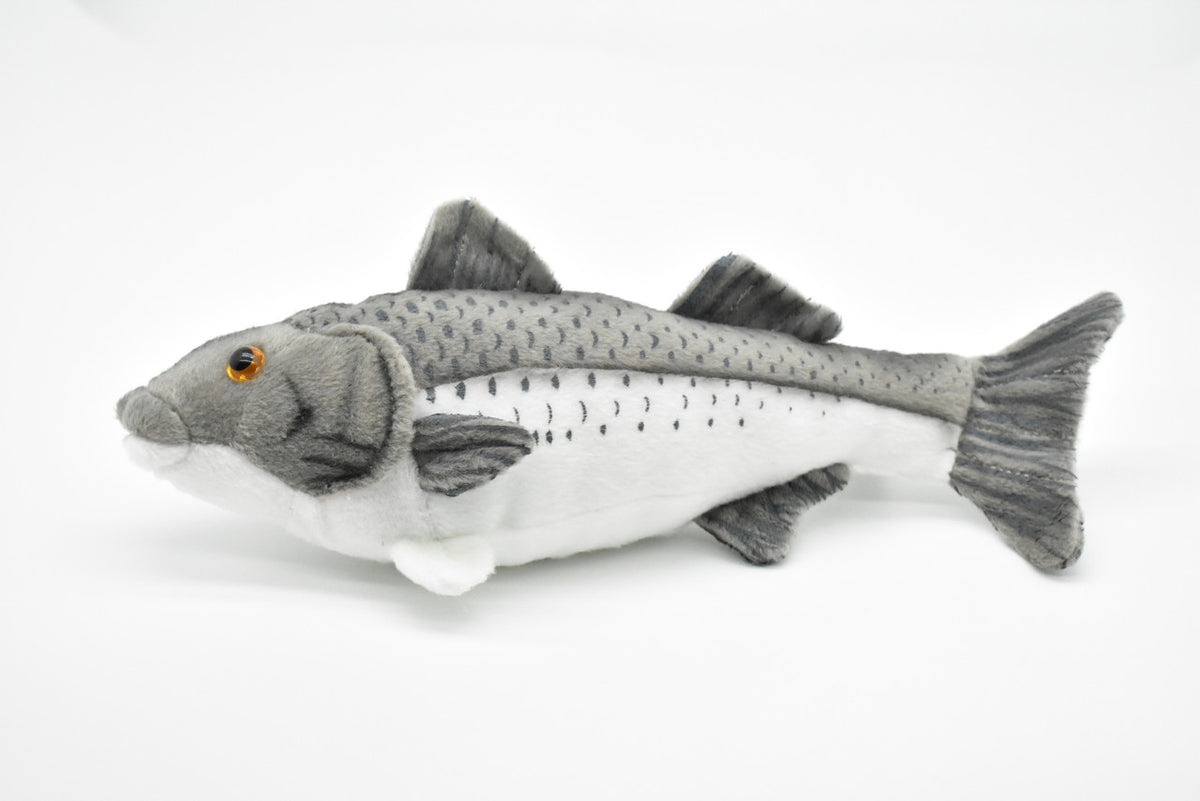 Striped Bass, Striper, Line Sider, Linesider, Very Nice Plush Fish, Stuffed Animal, Educational, Toy, Kids, Realistic, Lifelike Figure, Gift       10"