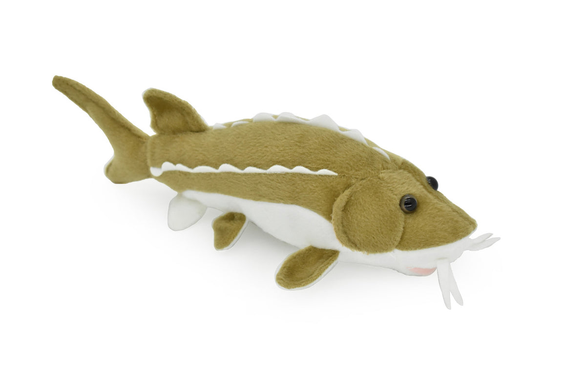 Sturgeon, Very Nice Plush Fish, Stuffed Animal, Educational, Toy, Kids, Realistic Figure, Gift,     10"