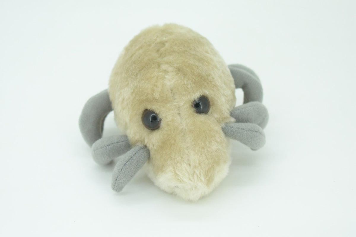Dust Mite, Dermatophagoides, are microscopic Arachnids, Plush Design, Educational, Figure, Replica, Gift,    5"   F1561 B137