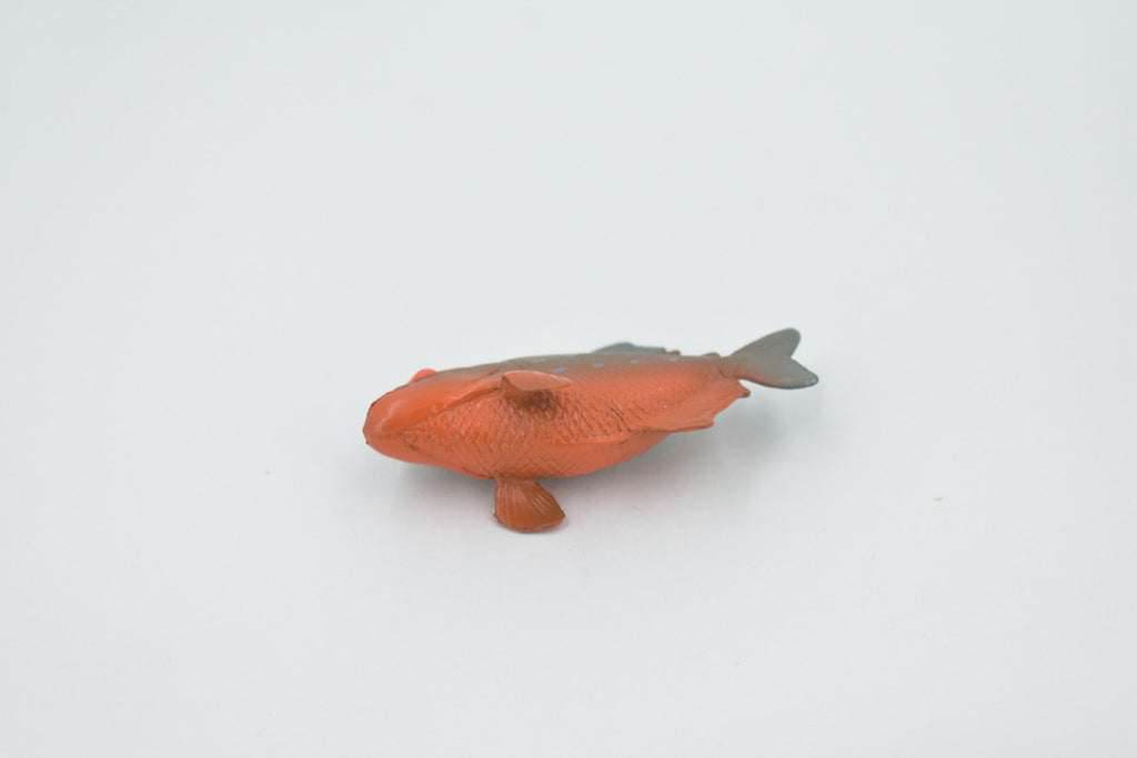 Fish, Red Bellied Pranha,  Museum Quality, Hand Painted, Realistic, Rubber Fish, Figure, Model, Replica, Toy, Kids, Educational, Gift,      2 3/4"   CH505 BB156