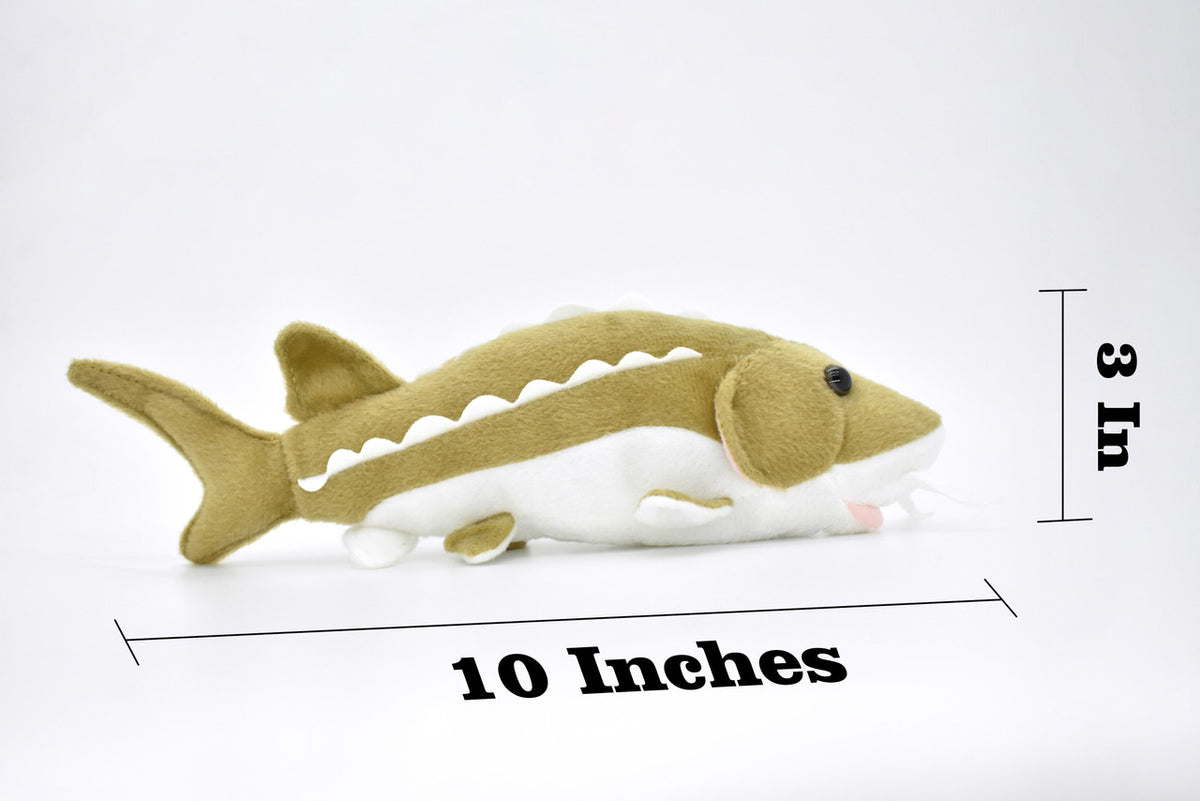 Sturgeon, Very Nice Plush Fish, Stuffed Animal, Educational, Toy, Kids, Realistic Figure, Gift,     10"