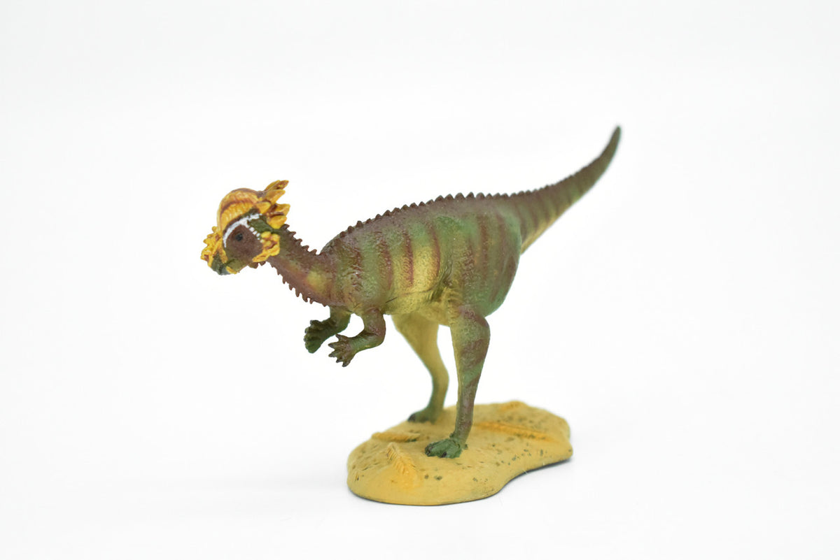 Pachycephalosaurus Dinosaur, Museum Quality, Animal, Educational, Realistic Hand Painted, Diorama Figure, Lifelike Model, Vintage Replica, Toy, Gift,    5 Inches.     F3612 B228
