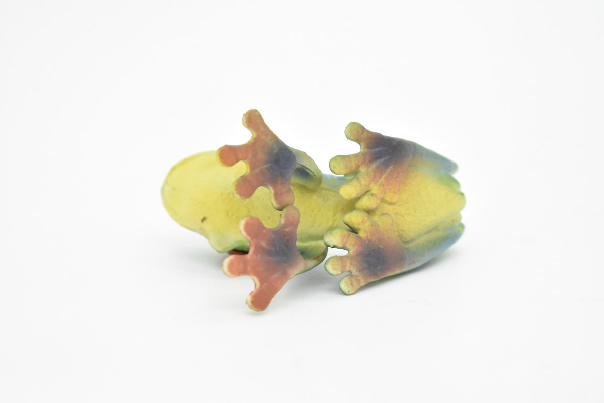 Frog Toy, Red Eyed Tree Frog, Very Realistic Rubber Figure, Model, Educational, Animal, Hand Painted Figurines,   2"    CH063 BB79