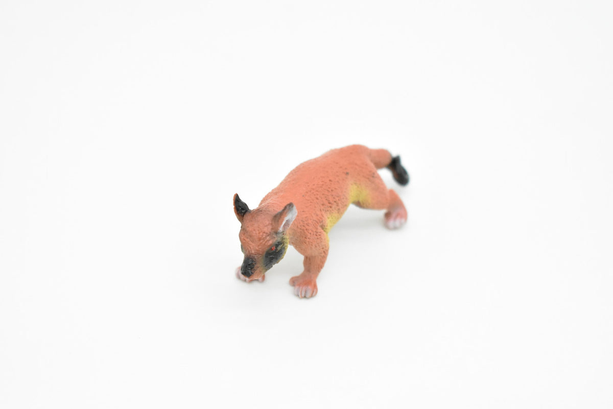 Brazilian aardvark, Coatimundi, Coati, Very Nice Plastic Design, Animal Figure, Educational, Figure, Lifelike, Diorama Model, Replica, Toy, Kids, Gift,   2 1/2 Inches.    CWG133 B238