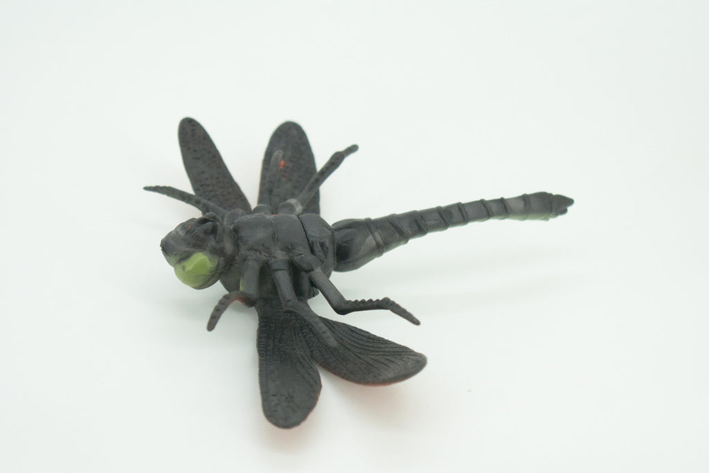 Dragonfly, Green and Red, Emerald Dragonflies, Hand Painted, Rubber Insect, Educational, Realistic Figure, Lifelike Model, Gift,   5"  AR24 B329