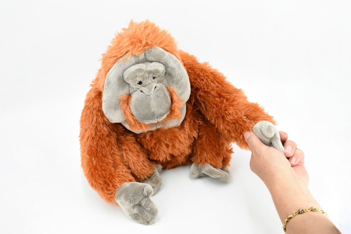 Orangutan, Monkey, Stuffed Animal, Educational, Plush Realistic Figure, Lifelike Model, Replica, Gift,     12"     WR04 B320