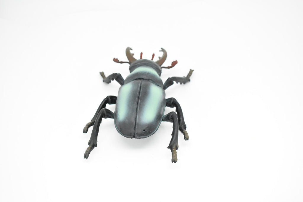 Stag Beetle, Lucanidae, Very Nice Rubber Insect, Educational, Toy, Kids, Realistic Figure, Lifelike Model, Figurine, Replica, Gift,       6"        F2088 B493