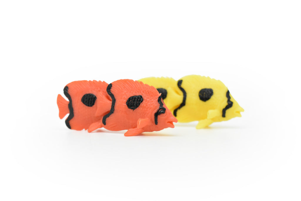 Tropical Fish Toy, Set of 2, Model, Figure, Figurine, Very Nice Quality Rubber Replica, Hand Painted     2"    CWG216 BB46