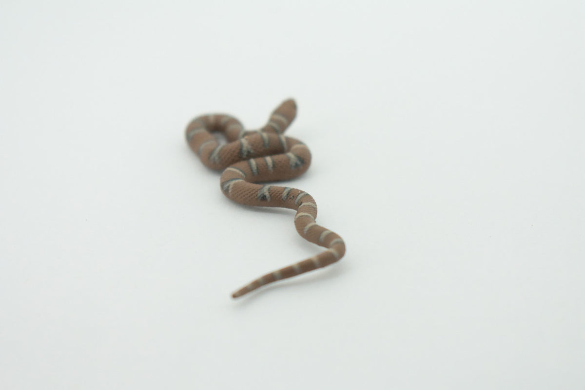 Water Snake, Hand Painted, Educational, Rubber Snake, Realistic Figure, Lifelike Model, Figurine, Replica, Gift,      2 1/2"    SF19 B31