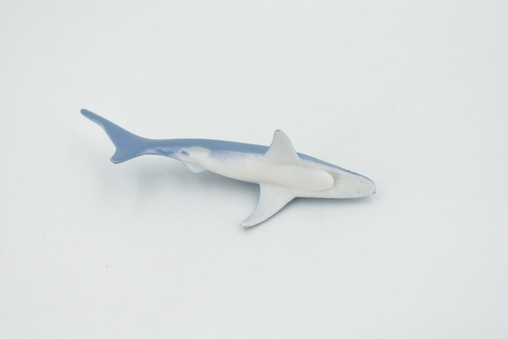 Shark, Blue Shark, High Quality, Hand Painted, Rubber, Requiem Shark,  Realistic, Figure, Model, Replica, Toy, Kids, Educational, Gift,     3"   CH564 BB162