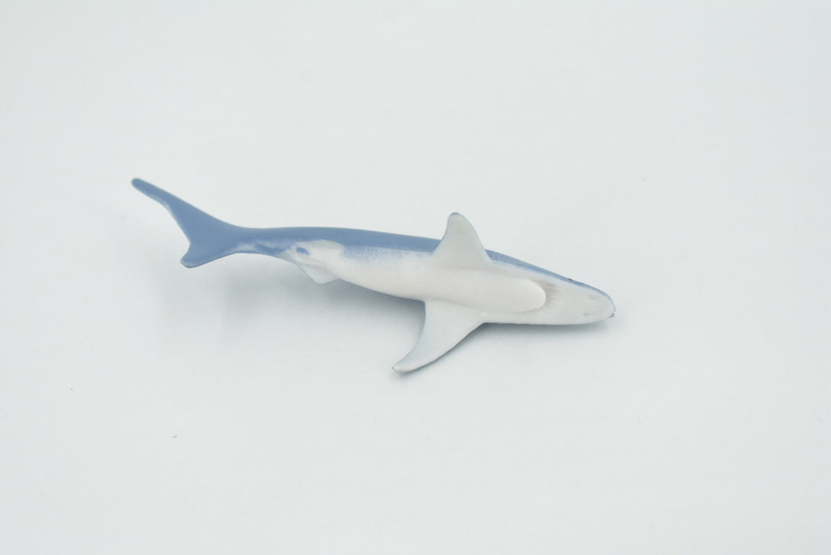Shark, Blue Shark, High Quality, Hand Painted, Rubber, Requiem Shark,  Realistic, Figure, Model, Replica, Toy, Kids, Educational, Gift,     3"   CH564 BB162