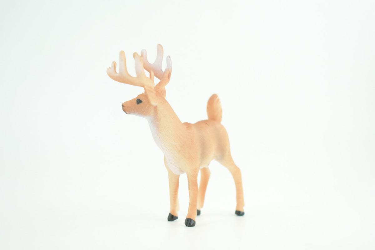 White-tailed Deer, Buck, Male, Museum Quality, Educational, Hand Painted, Rubber Animal, Realistic, Diorama, Toy, Kids, Gift,   4  Inches.  CH943 BB208