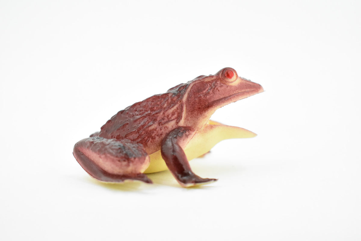 Frog, Red Toad, Rubber Toy, Realistic, Rainforest, Figure, Model, Replica, Kids, Educational, Gift,      3"     F6088 B3