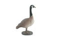 Bird, Canada Goose, Honker, Museum Quality, Hand Painted, Rubber, Educational, Realistic, Figure, Model, Replica, Toy, Kids, Educational, Gift,    3"   CH640 BB168