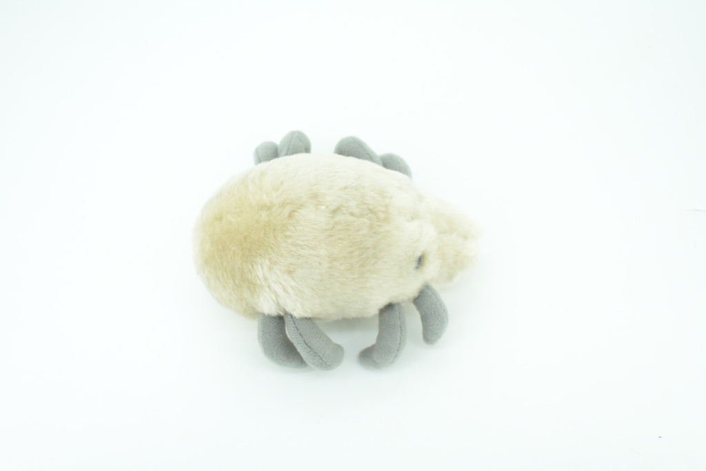 Dust Mite, Dermatophagoides, are microscopic Arachnids, Plush Design, Educational, Figure, Replica, Gift,    5"   F1561 B137