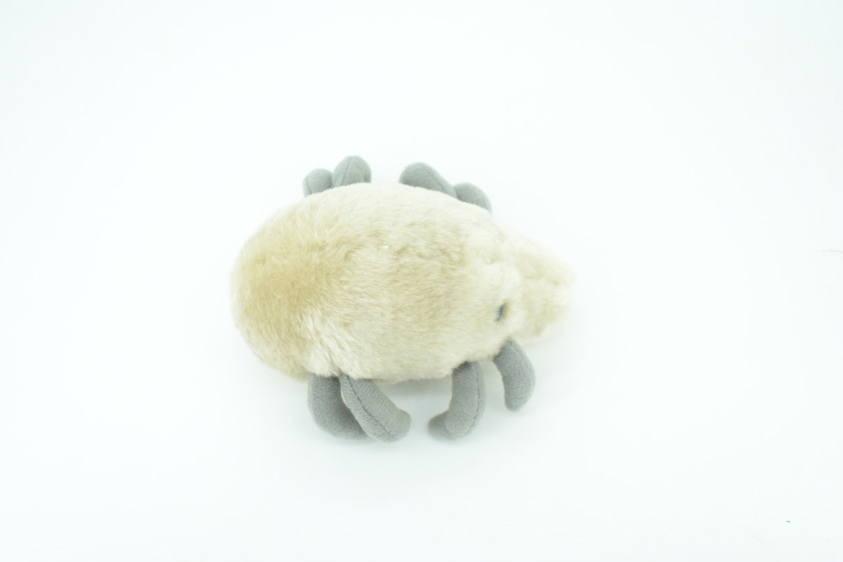 Dust Mite, Dermatophagoides, are microscopic Arachnids, Plush Design, Educational, Figure, Replica, Gift,    5"   F1561 B137