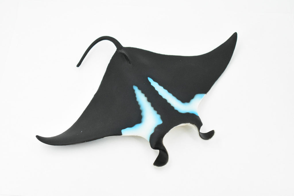 Manta Ray, Devil Fish, Museum Quality, Educational, Rubber Fish, Hand Painted, Realistic Toy Figure, Diorama Model, Kids,  9 Inches. 