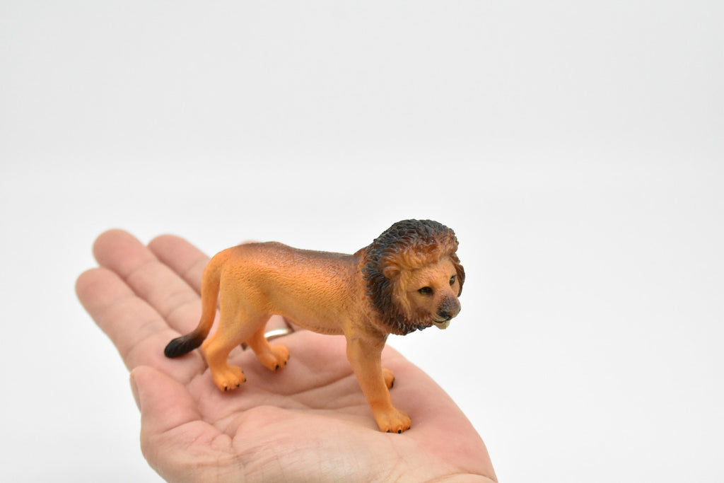 African Lion, Male, King of the African savanna, Museum Quality, Hand Painted, Plastic Animal, Educational, Realistic, Diorama Model, Toy, Kids,  4 1/2 Inches.  